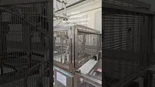 Protezione Inox su misura!