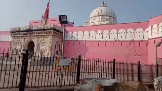 Karni Mata Temple Deshnok | Vlog | Arkesh Charan