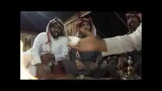 Hunting Falcon Birds in a Desert (2012)