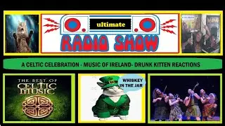 A CELTIC CELEBRATION - IRISH MUSIC - DRUNK KITTEN REACTIONS