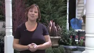 How to Grow Plants & Flowers : How to Grow Grass Hay
