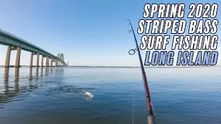 Striped Bass Surf Fishing - Spring 2020 - Long Island , New York