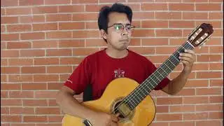 Quattordici sonatine facili per chitarra No  2 - Ferdinand Carulli. Juan Ignacio Flores (guitar)