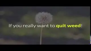 Quit Marijuana App - Marijuana And Sexual Performance