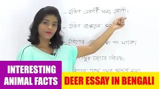 Interesting Animal Facts: Deer | Deer Essay in Bengali | Learn Animals | Deer Song Story