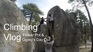 Flower Pot & Gypsy's Day Out | Aree's First Black Mountain Trip | ClimbingVlog