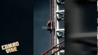 Combo Vine #95