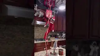 Our daughters reaction to Elf On The Shelf 🫢