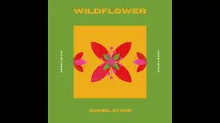 Daniel Stark - Wildflower