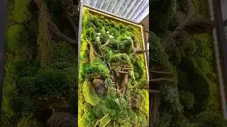 Mushrooms & Mosswall Decoration 🌿 #preservedmoss #mosswall #mushroom