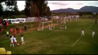 Gol  ahimelec