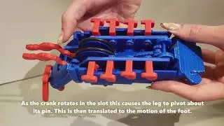 DESN 254 Mantis Shrimp toy