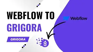 Move Your Webflow CMS to Grigora in Minutes