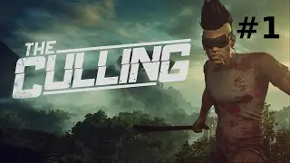 9 Kills 800 Damage!!! | The Culling #1