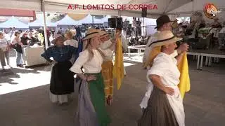 A. F . LOMITOS DE CORREA.
