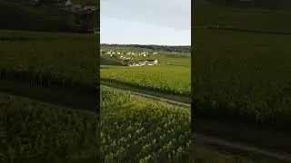 We Visited The Most Beautiful Champagne Region In France