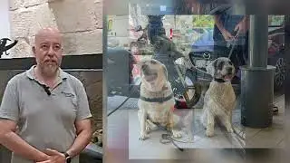 International Assistance Dogs Week   Robert