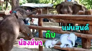 โมเม้นต์ที่รอคอยเมื่อ น้องมีนา เจอกับ แม่แสนดี ยังกล้าๆกลัวๆแต่ไม่ถอย แถมยังมีเซอร์ไพรส์โชว์ทุกคน