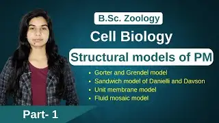 Cell Biology || Structural models of Plasma Membrane || Zoology || B. Sc. || M.Sc.