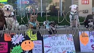 Service dog Awareness  Walk/week