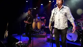 Bad Habit - The Defending Champions (Live @ Alphawave Studios)