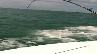 Lisa's Key West Fishing Trip