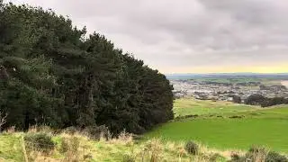 Riverton - Mores Scenic Reserve - Carpark