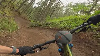 Aflo Daddy & Tdc, top to bottom on Fox Mnt Williams lk bc.