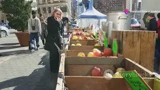 10 meilleurs endroits &agrave; visiter en Nice &ndash; Vid&eacute;o et guide de voyage