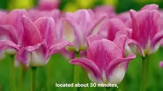 Moving to Red Deer, Alberta 3 Awesome Towns to