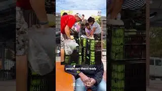 Rickey | Food Recovery Volunteer