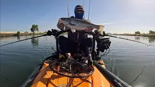 Sacramento River Striper Fishing At Barge Canal | Deep Water Channel | 2025
