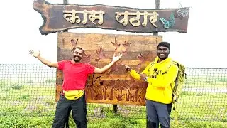 कास पठार भटकताना Maharashtra&rsquo;s valley of flowers #kaspathar 