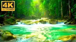 Deep River ASMR &ndash; Relaxing Flow & Birds for Sleep 🌊&rdquo;