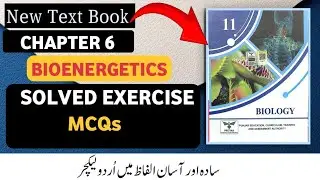 FSc 1st Year Biology New Book 2025 |Ch 6 Bioenergetics | Solved Exercise MCQs| Science Teaching Zone