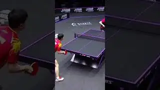 #Table tennis #how to play table tennis #best netting of table tennis
