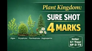 Plant Kingdom 4 Marks Must-Watch Questions | Inter 1st Year Botany | AP & TS 2026