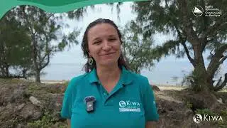 Embracing Organic Transformation through the Pacific Guarantee System!