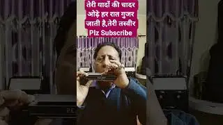 Teri Yaadon Ki Chadar Odhe Har🌹🌹#shorts #ytshorts #song #harmonica #mouthorgan #harmonicacover