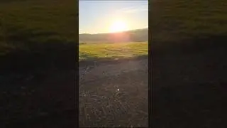 Little things matter 🌞❤️ #foryou #family #sunset #farm #renovation
