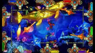 Ocean King 4 Phoenix Legend Bird Gamble  Arcade Fish Game Kits Adult Games Fish Game Supplier Cheap