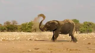 Reis mee naar Namibi&euml; met FOX, verre reizen van ANWB