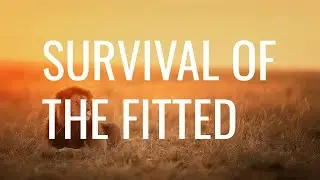 Survival Of The Fitted || Jan. 4th, 2026 P.M.
