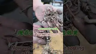 Induction Sensor Sorter wire cable separation