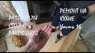 РЕМОНТ КУХНИ в нашем доме Часть 16 Разобрали стол и раковину КУХНИ Навели порядок_29.01.2026
