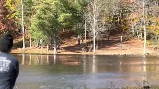 Maple Hill Disc Golf Golds Hole 8