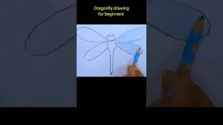 Dragonfly drawing #dragonfly #drawing #shorts