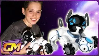 Chip The Robot Dog Toy: Who Let The Dogs Out?