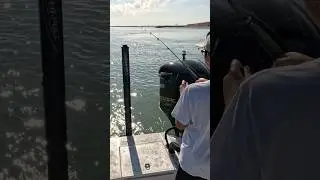 When fishing for catfish, be aware of the possible dangers can get hurts #shorts