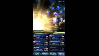 FFBE Limit Bursts - 6-star Awakened Rain (Blood Linkage)